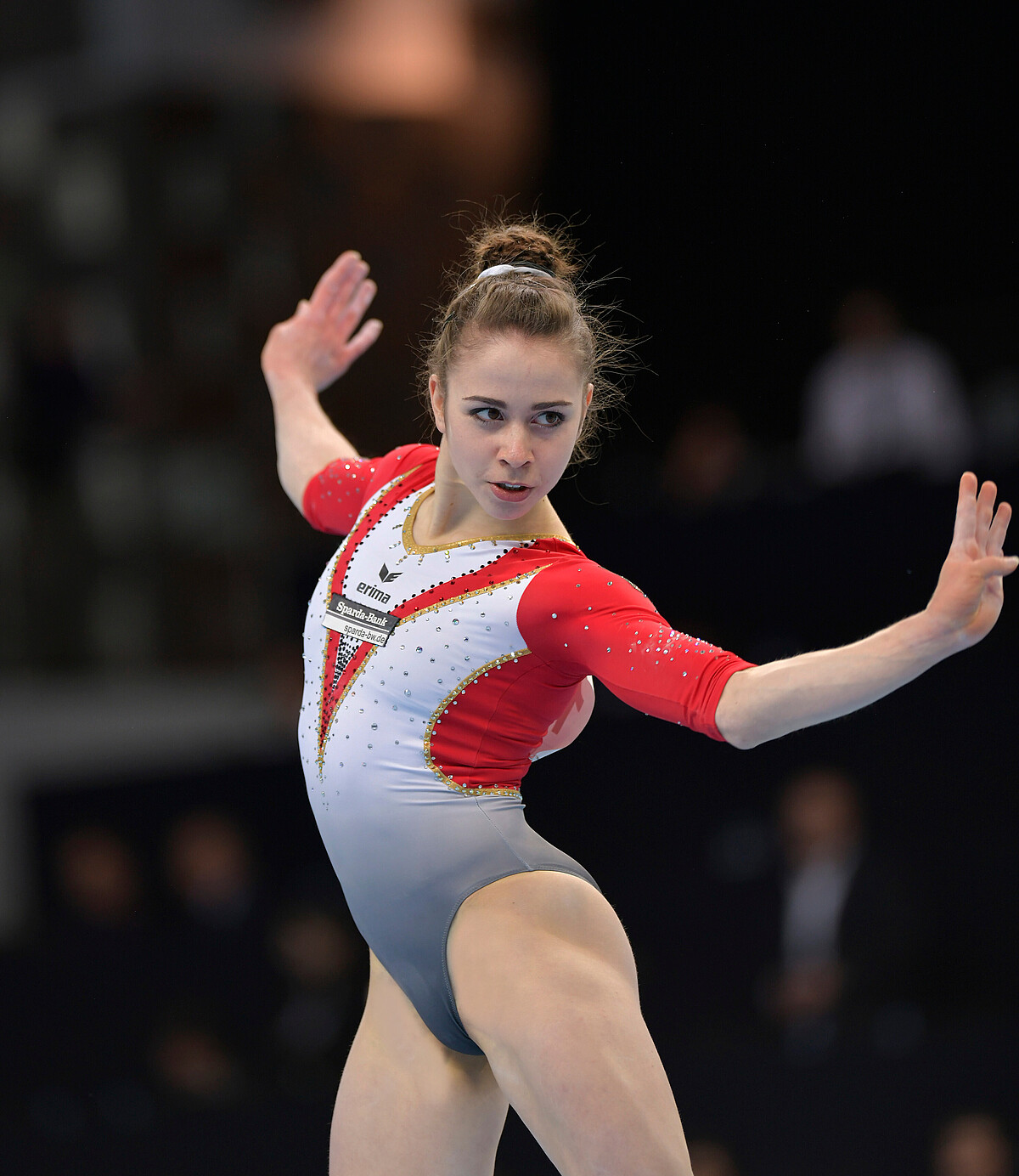 Detailansicht Badischer TurnerBund e.V.