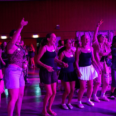 Symbolbild verkleidete Teilnehmer bei der GoWild Mottoparty im Camp Breisach 2026