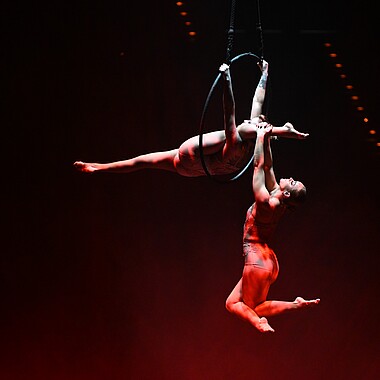 Symbolbild Ring Akrobatik bei Feuerwerk der Turnkunst 2025
