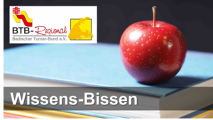 Symbolbild Apfel