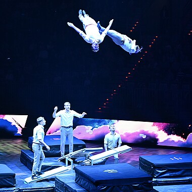 Symbolbild Sprungbrett Akrobatik bei Feuerwerk der Turnkunst 2026