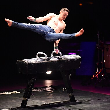 Symbolbild Pauschen Pferd bei Feuerwerk der Turnkunst 2026