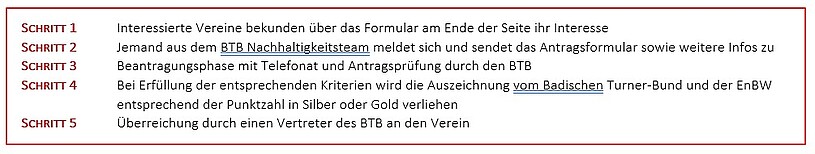 Info Box: Schritt für Schritt Anleitung für die Gold oder Silber Auszeichnung für vorbildliches, nachhaltiges Engagement
