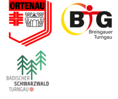 Turngau Logos Region 3