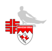 Logo Mainneckar Turngau