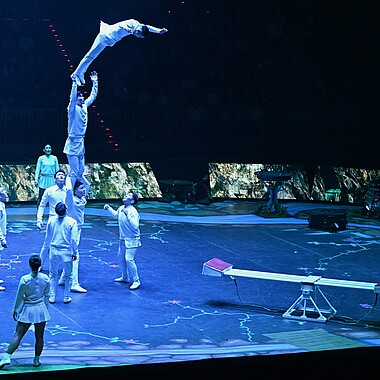 Symbolbild Sprungbrett Akrobatik bei Feuerwerk der Turnkunst 2025