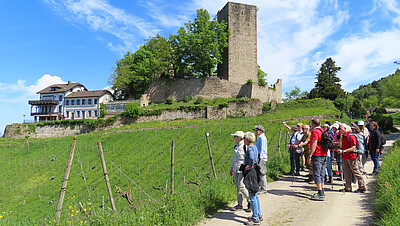 Landeswandertag 2026 in Bühl: Symbolbild Wandergruppe an Burg