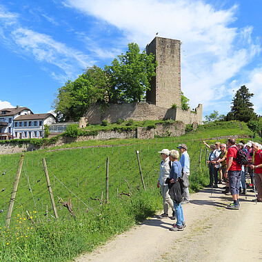 Landeswandertag 2026 in Bühl: Symbolbild Wandergruppe an Burg