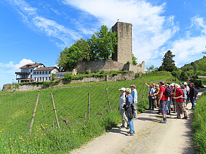 Landeswandertag 2026 in Bühl: Symbolbild Wandergruppe an Burg