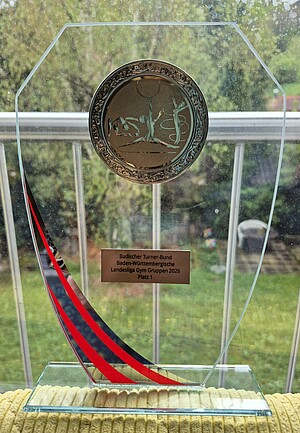 Der Liga-Pokal gehört nun den Survivors vom TV Mosbach