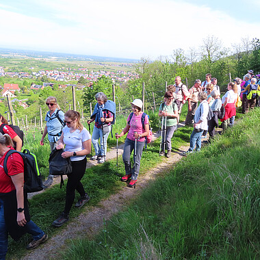 Landeswandertag 2026 in Bühl: Symbolbild Wandergruppe auf Wiesenweg