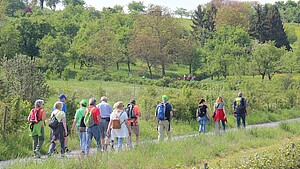 Wandergruppe in der Natur