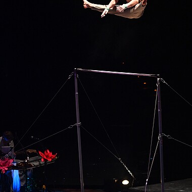 Symbolbild Reck Nummer bei Feuerwerk der Turnkunst 2025