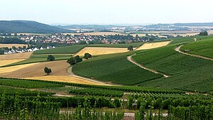 Symbolbild Ausblick über Felder und Weinberge