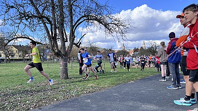 Start Sprintstaffel BW-Meisterschaft OL