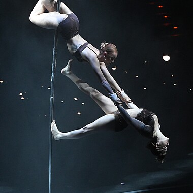 Symbolbild Pole Akrobatik bei Feuerwerk der Turnkunst 2025