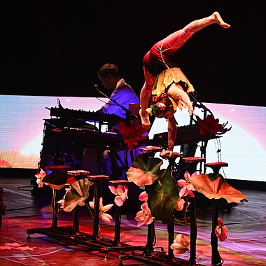 Symbolbild Handstand Ankrobatik bei Feuerwerk der Turnkunst 2025